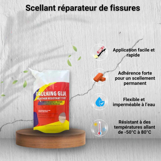 Scellant réparateur de fissures